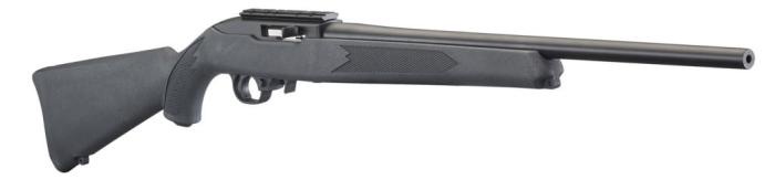 Ruger 10/22 Carbine - Charcoal